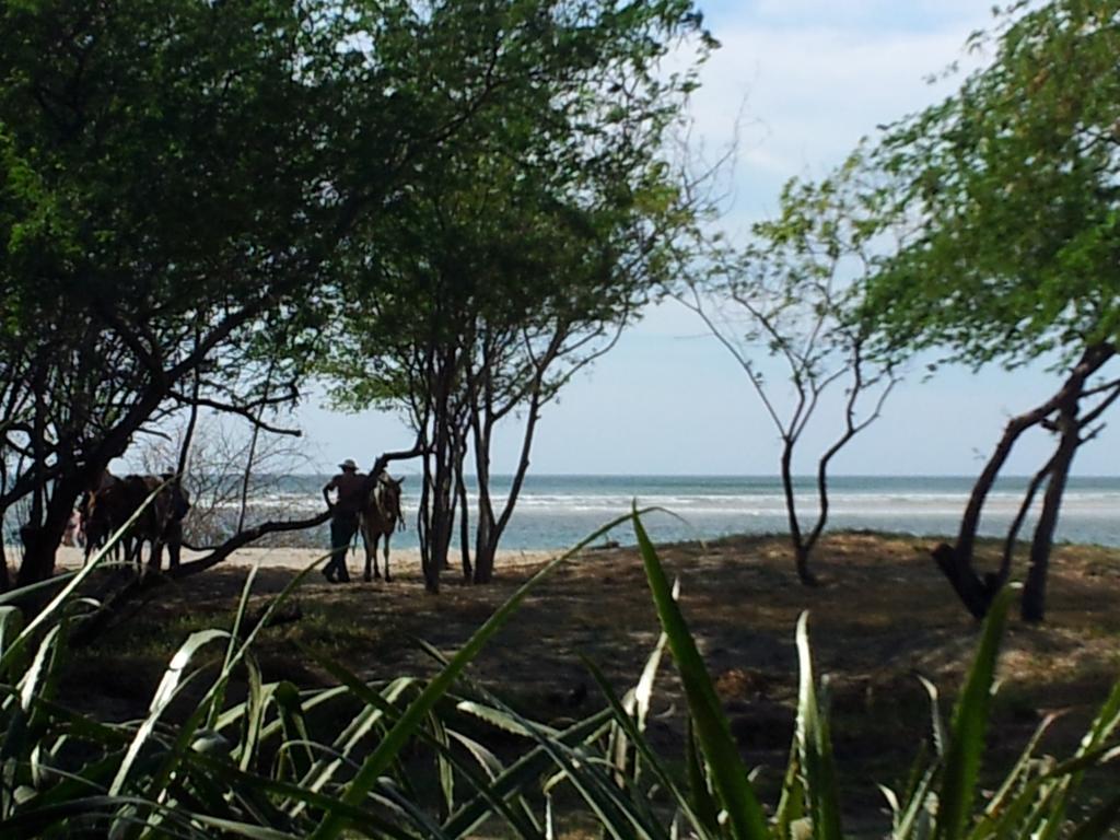 Hotel Casa Blanca Tamarindo Luaran gambar